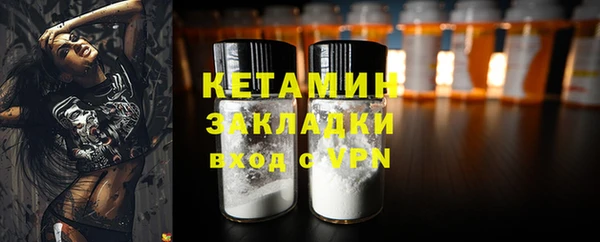 шишки Белоозёрский