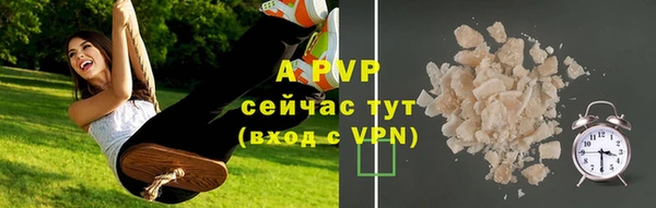 шишки Белоозёрский