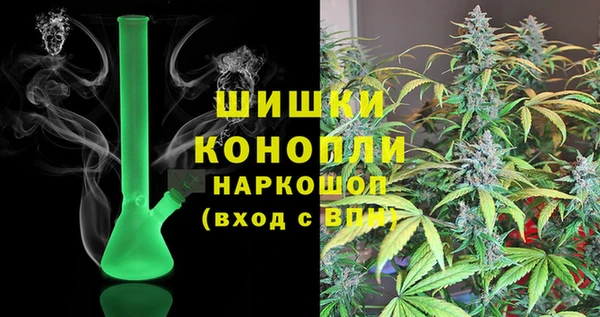 шишки Белоозёрский