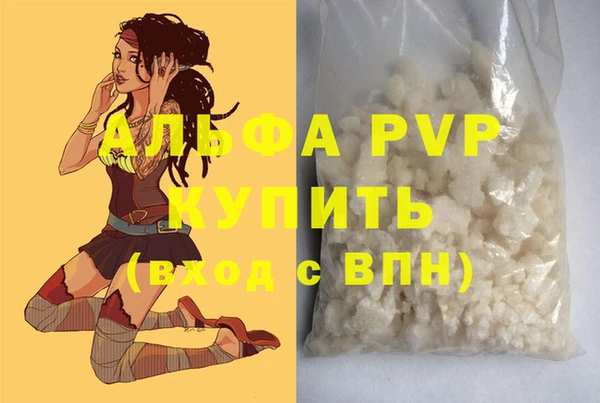 шишки Белоозёрский