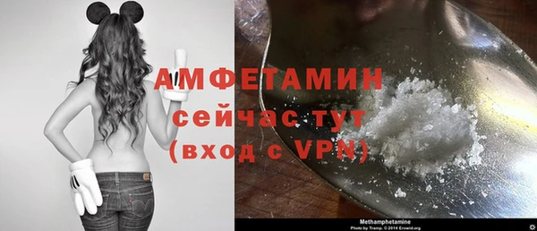 шишки Белоозёрский