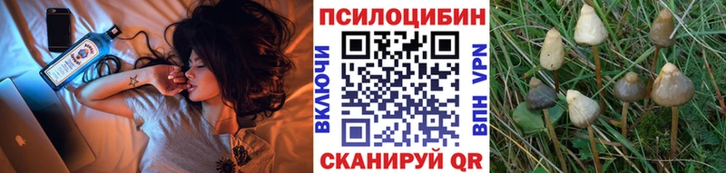 Галлюциногенные грибы GOLDEN TEACHER  Волчанск 